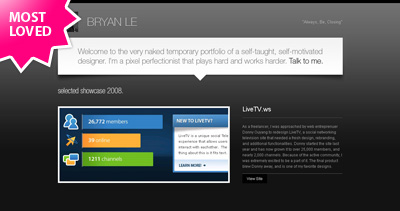 Bryan Le Website Screenshot