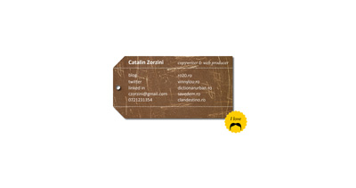 Catalin Zorzini Website Screenshot