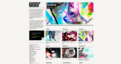 Perttu Murto Website Screenshot