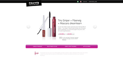 Imju Fiberwig Website Screenshot