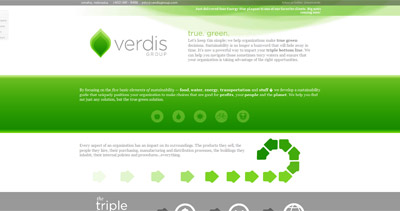 Verdis Group Website Screenshot