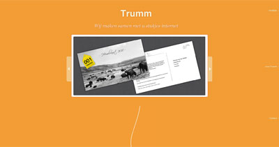 Trumm Website Screenshot