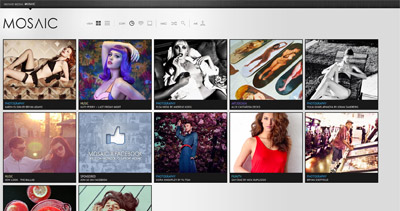 Mosaic Website Screenshot