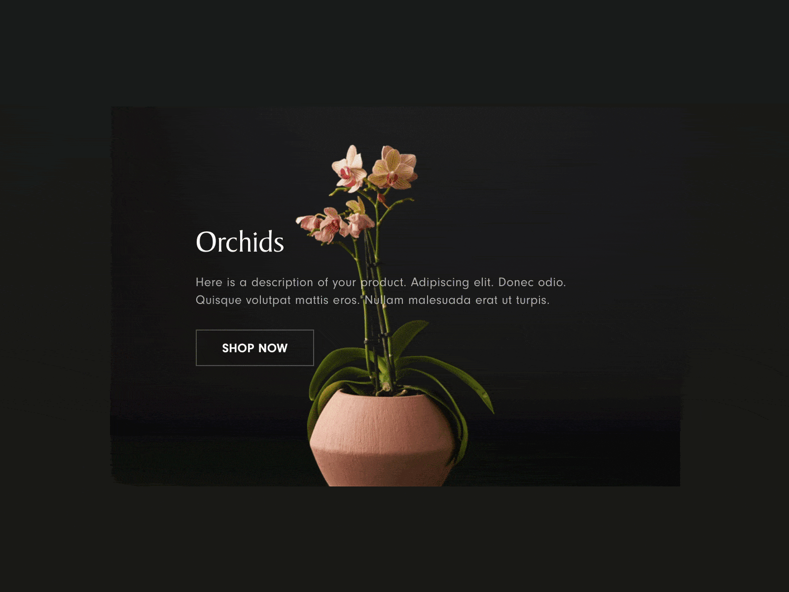 Pedro Template - Product Thumbnail Demo