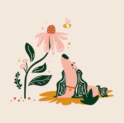 Wallflower Studio