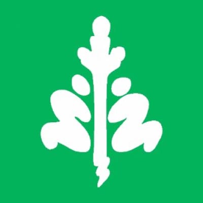 Tree Canada