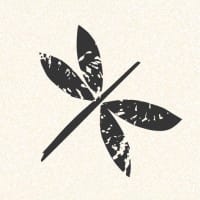 Summerthyme Studio